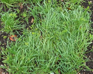 Alternative text should describe the visual content of the image.