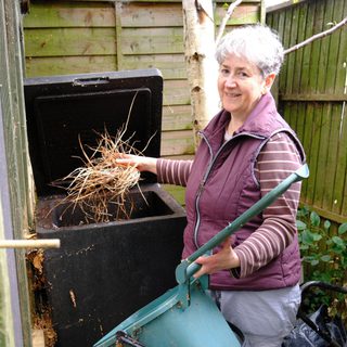 Alternative text should describe the visual content of the image.