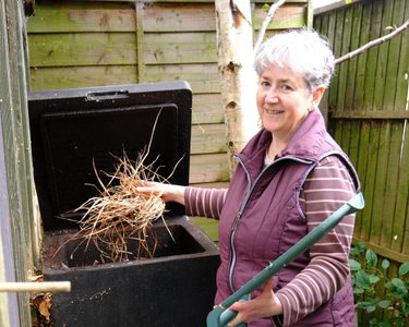 Alternative text should describe the visual content of the image.