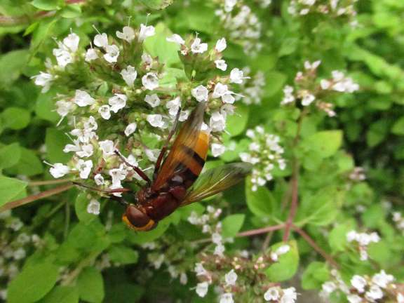 Alternative text should describe the visual content of the image.