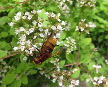 Alternative text should describe the visual content of the image.