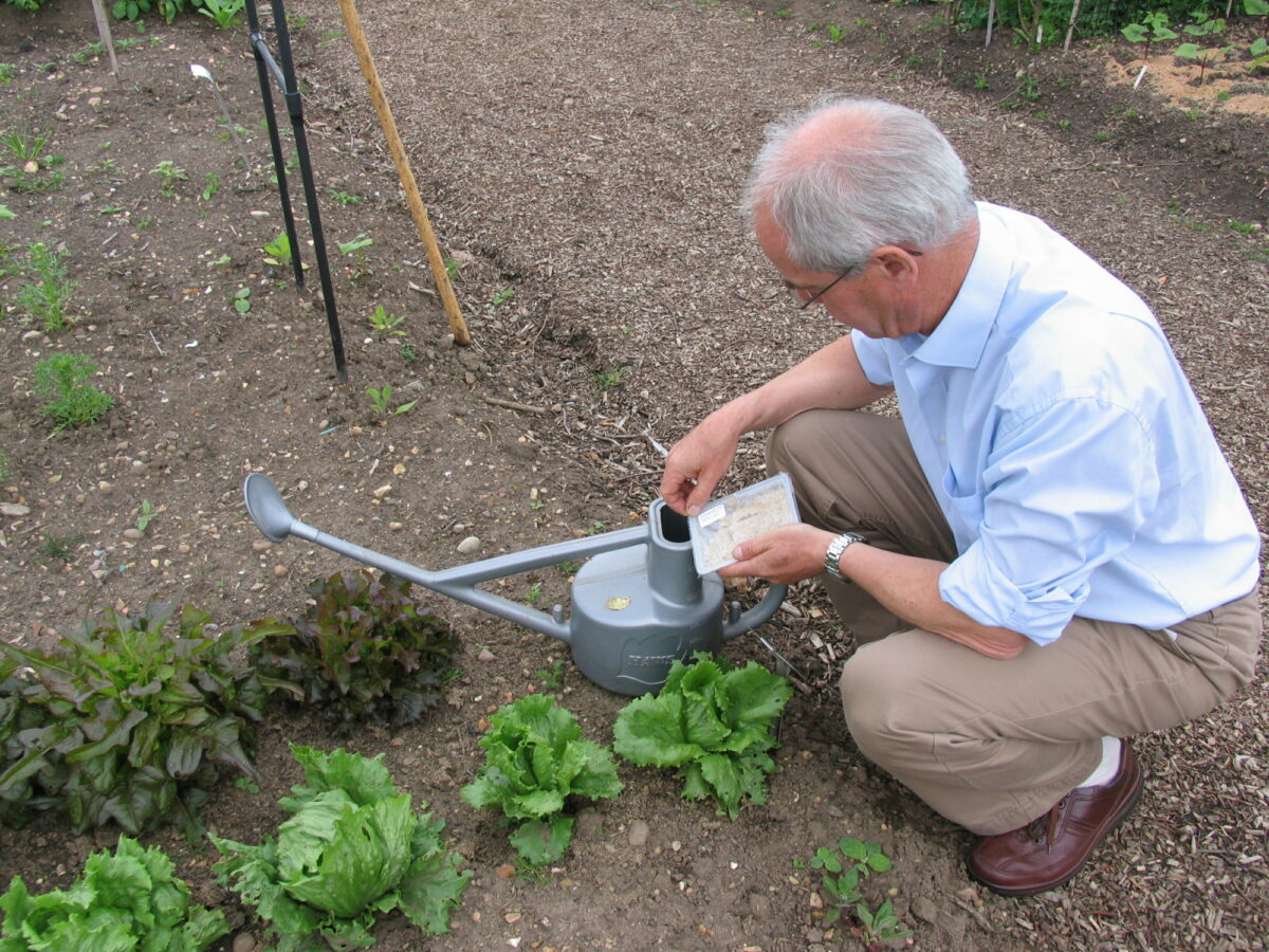 Watering with nematodes