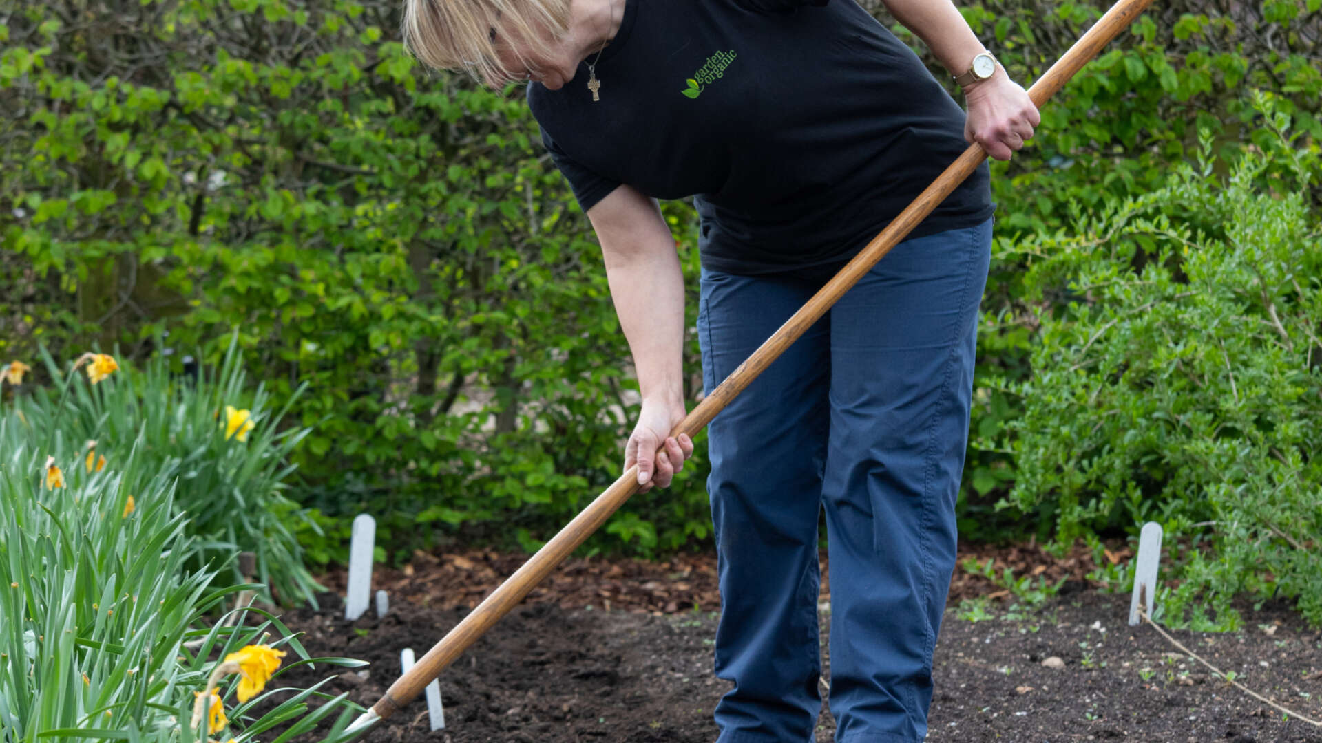 Hoeing the veg patch