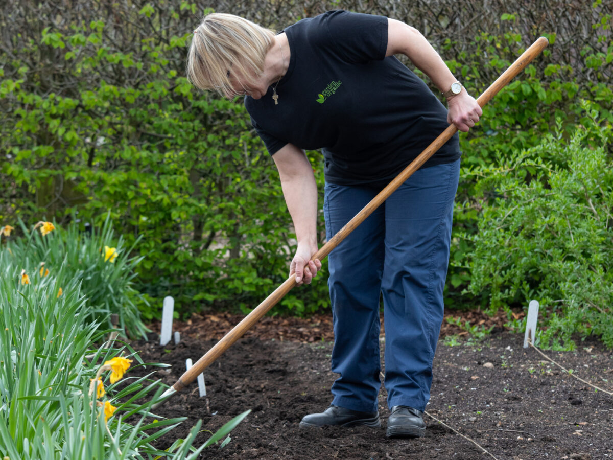 Hoeing the veg patch