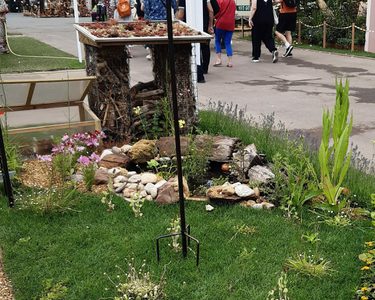 Alternative text should describe the visual content of the image.