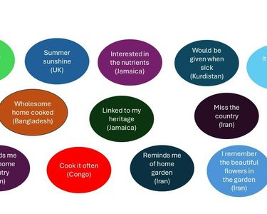 Alternative text should describe the visual content of the image.