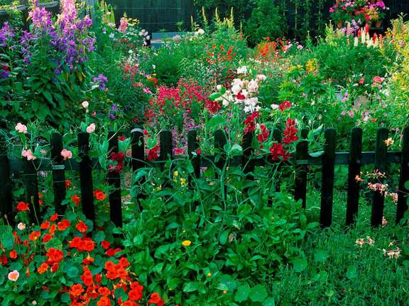 Alternative text should describe the visual content of the image.