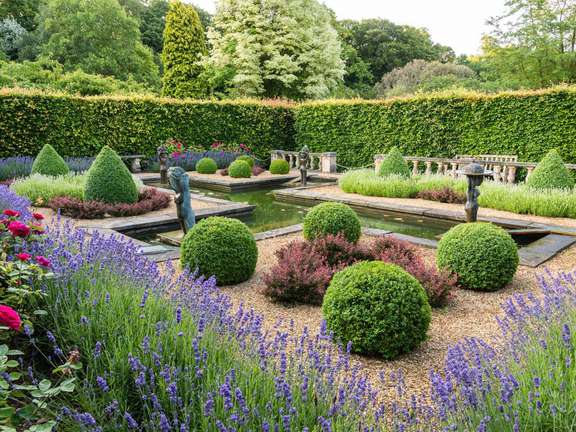 A garden, with a pond, topiary box hedging balls, surrounded by lavender hedging