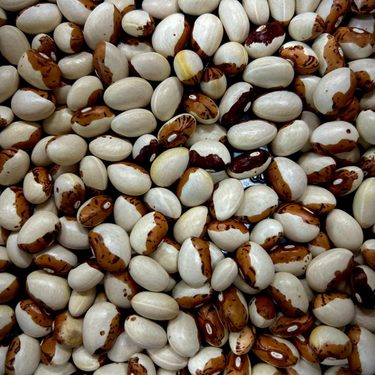 Alternative text should describe the visual content of the image.