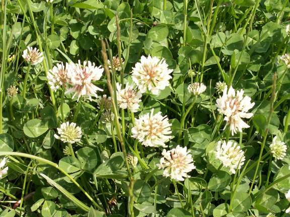 Alternative text should describe the visual content of the image.