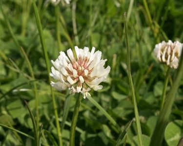 Alternative text should describe the visual content of the image.