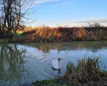 Alternative text should describe the visual content of the image.