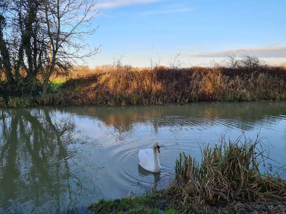 Alternative text should describe the visual content of the image.