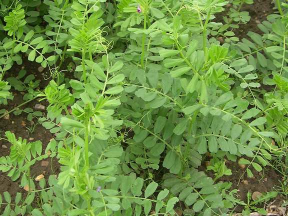 Alternative text should describe the visual content of the image.