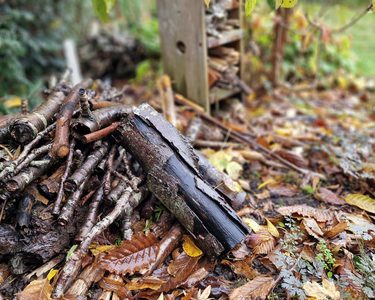 Alternative text should describe the visual content of the image.