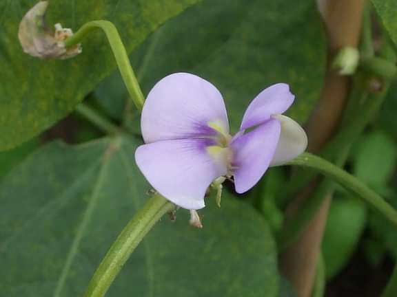 Alternative text should describe the visual content of the image.