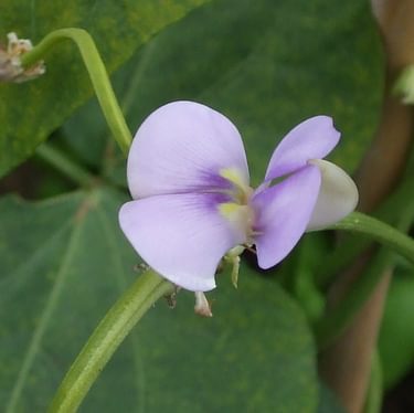 Alternative text should describe the visual content of the image.