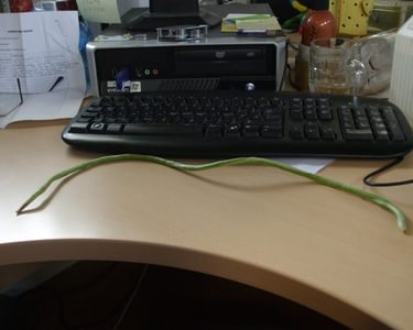 Alternative text should describe the visual content of the image.