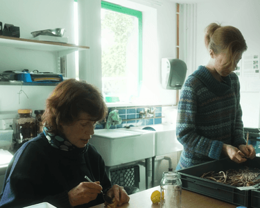 Alternative text should describe the visual content of the image.