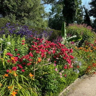 Alternative text should describe the visual content of the image.