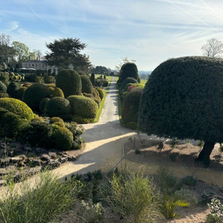 Alternative text should describe the visual content of the image.