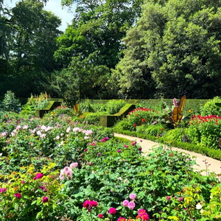 Alternative text should describe the visual content of the image.