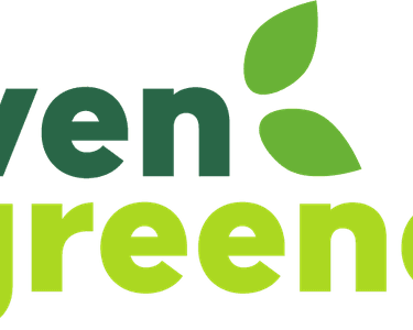 Alternative text should describe the visual content of the image.