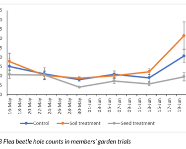 Alternative text should describe the visual content of the image.
