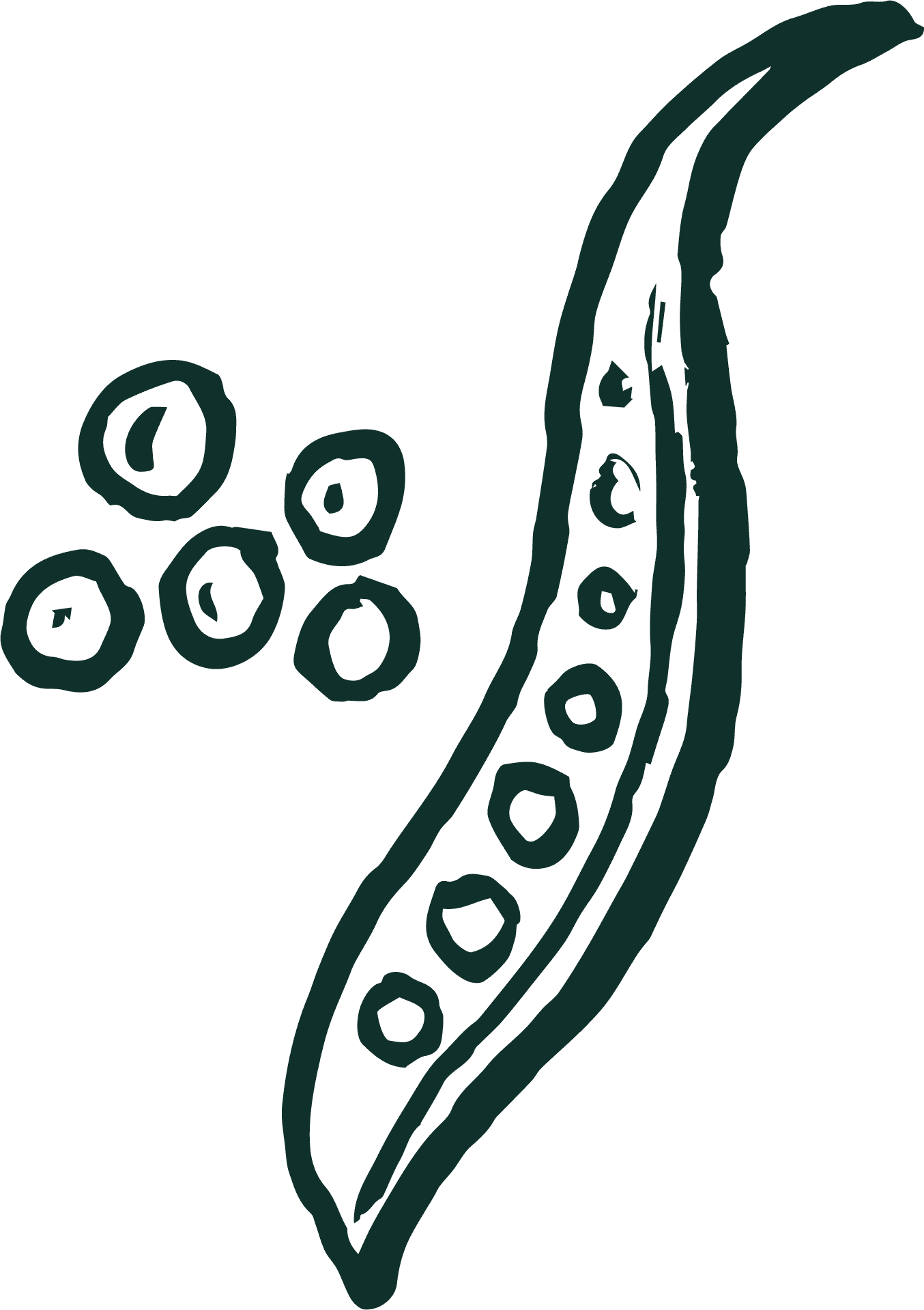 Alternative text should describe the visual content of the image.