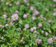 Alternative text should describe the visual content of the image.