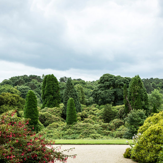 Alternative text should describe the visual content of the image.