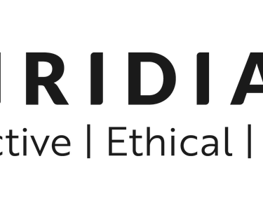 Alternative text should describe the visual content of the image.