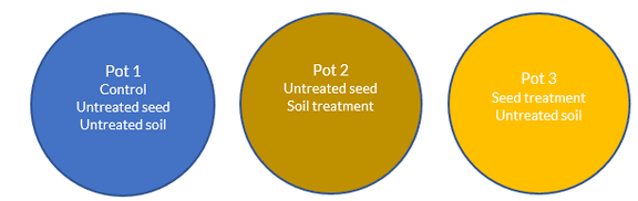 Alternative text should describe the visual content of the image.