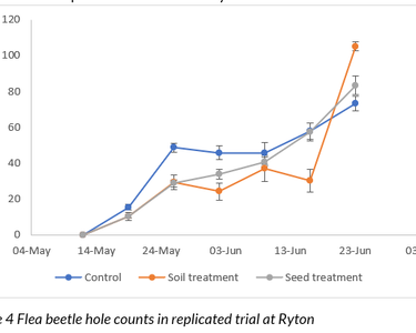 Alternative text should describe the visual content of the image.
