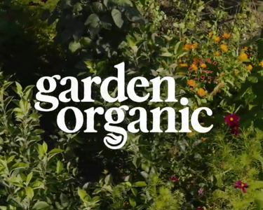 Alternative text should describe the visual content of the image.