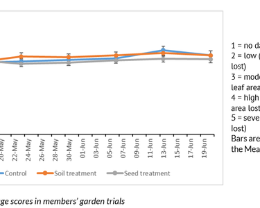 Alternative text should describe the visual content of the image.