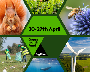 Alternative text should describe the visual content of the image.