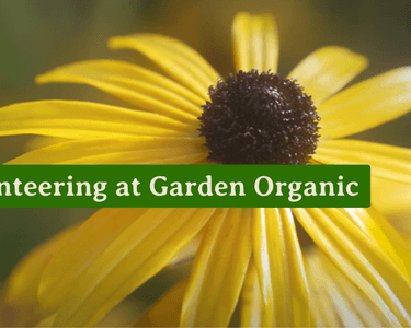 Alternative text should describe the visual content of the image.