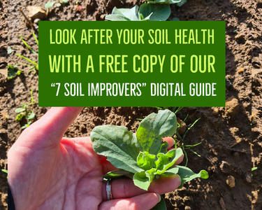 image reads: look after your soil health with a free copy of our 7 soil improvers digital guide